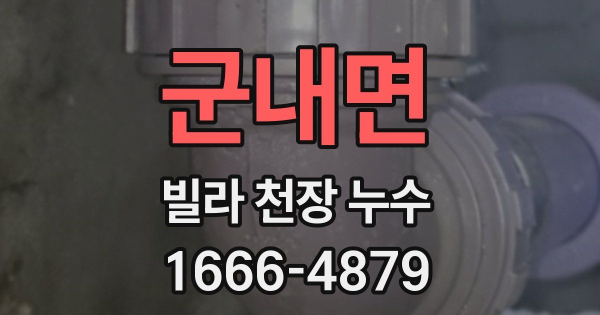 군내면 빌라 천장 누수