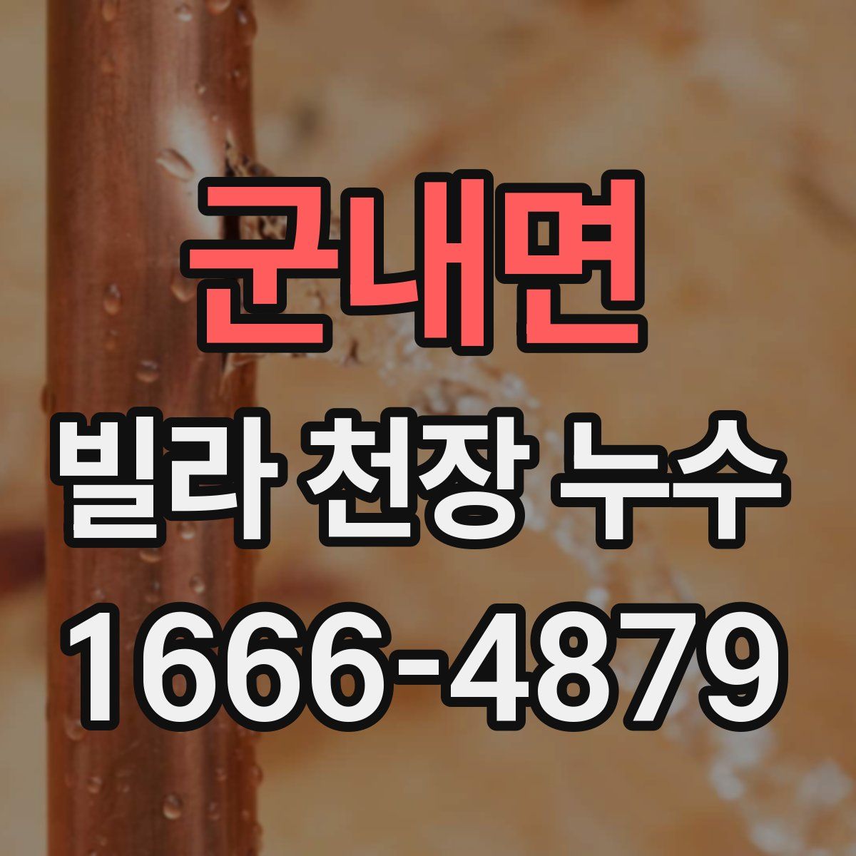 군내면 빌라 천장 누수
