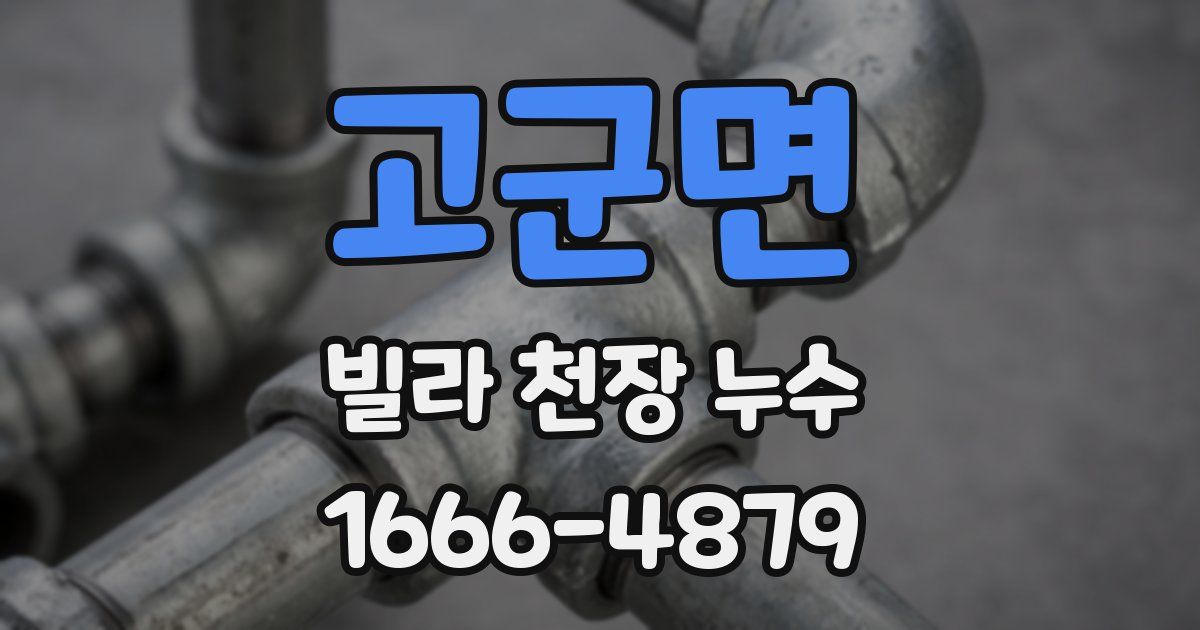 고군면 빌라 천장 누수