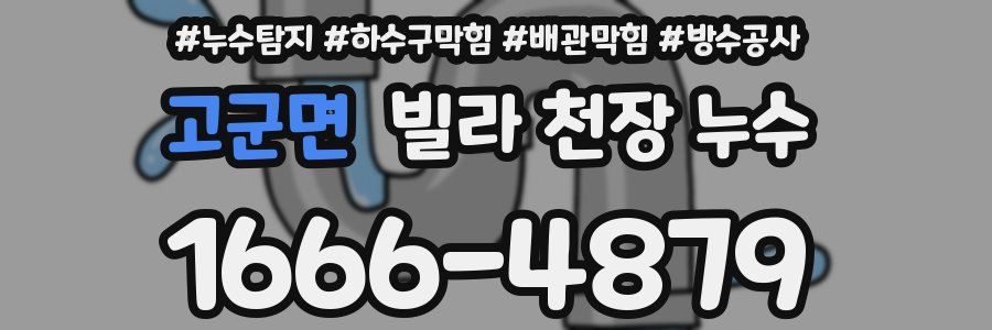 고군면 빌라 천장 누수