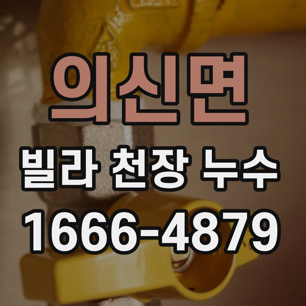 의신면 빌라 천장 누수