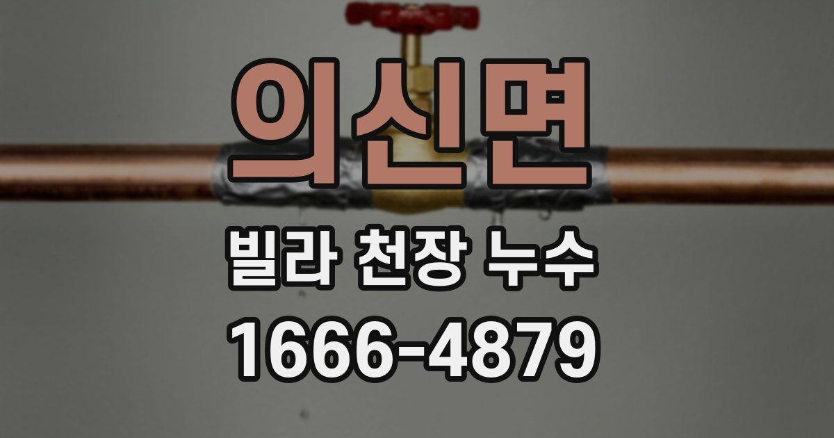의신면 빌라 천장 누수