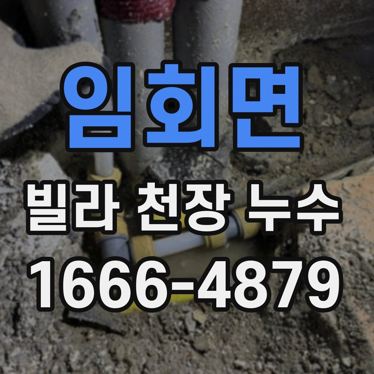 임회면 빌라 천장 누수