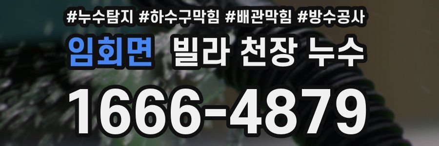 임회면 빌라 천장 누수