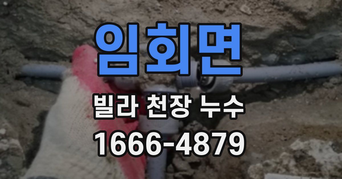임회면 빌라 천장 누수
