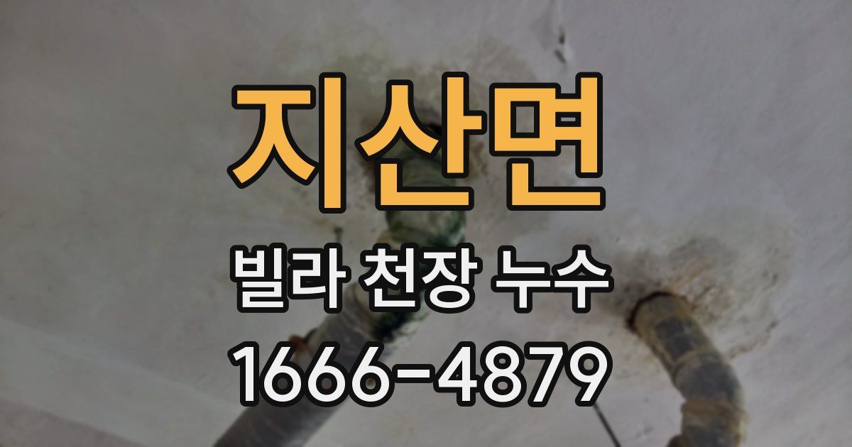 지산면 빌라 천장 누수