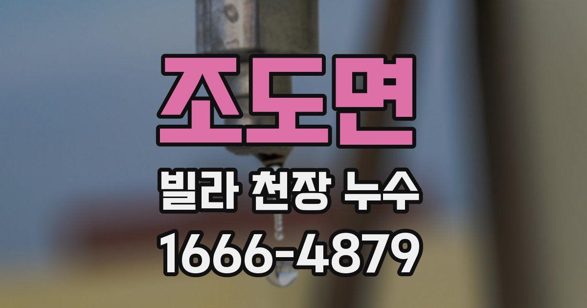 조도면 빌라 천장 누수