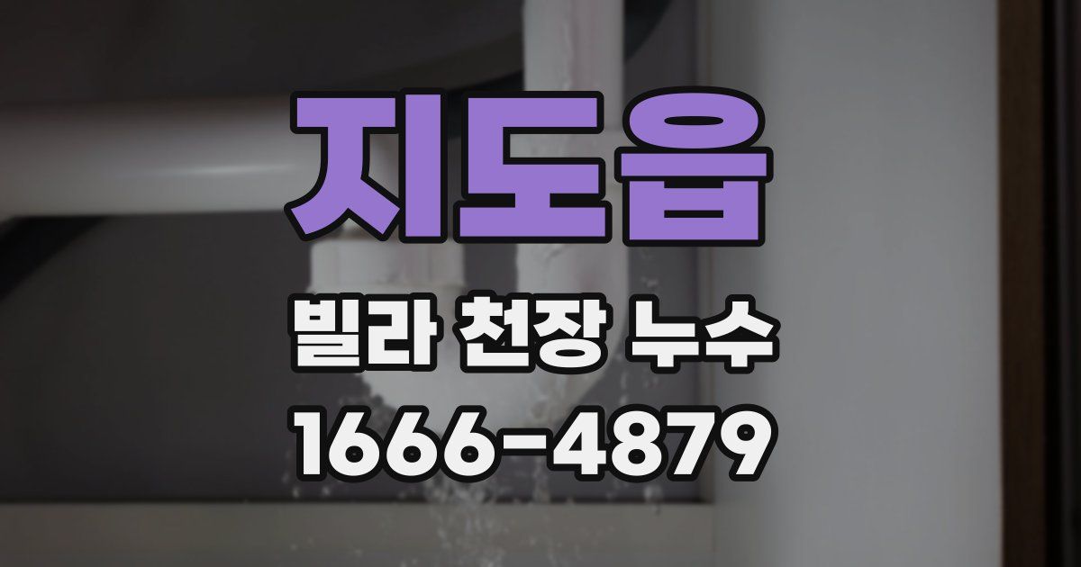 지도읍 빌라 천장 누수