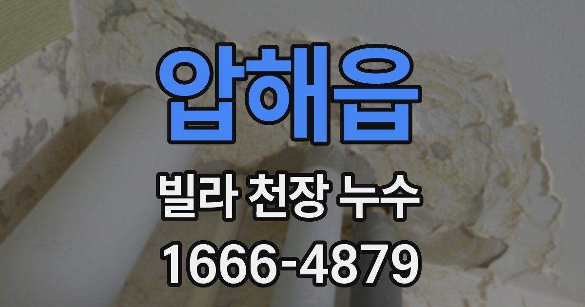 압해읍 빌라 천장 누수