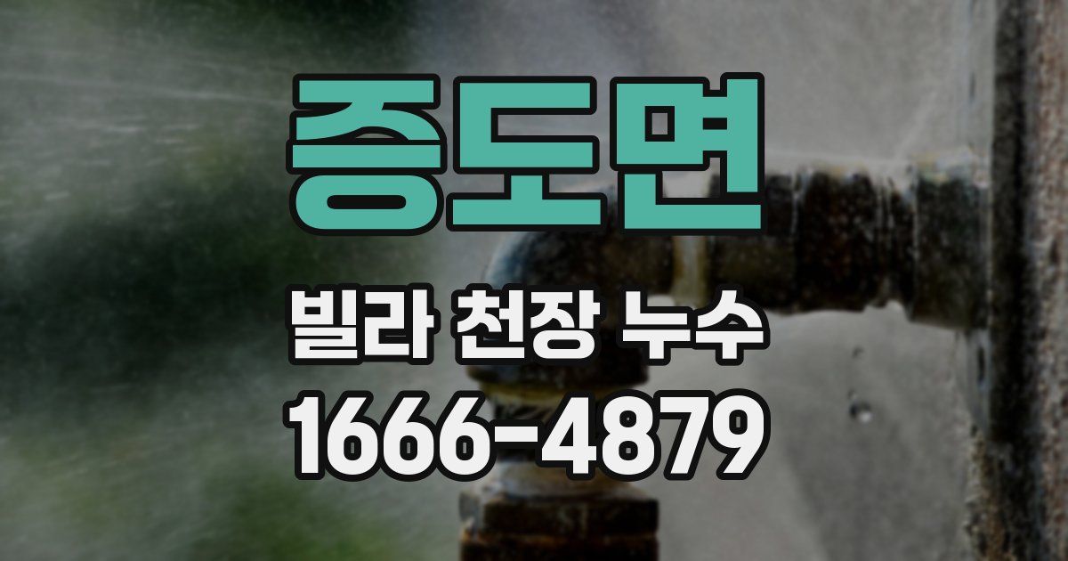 증도면 빌라 천장 누수