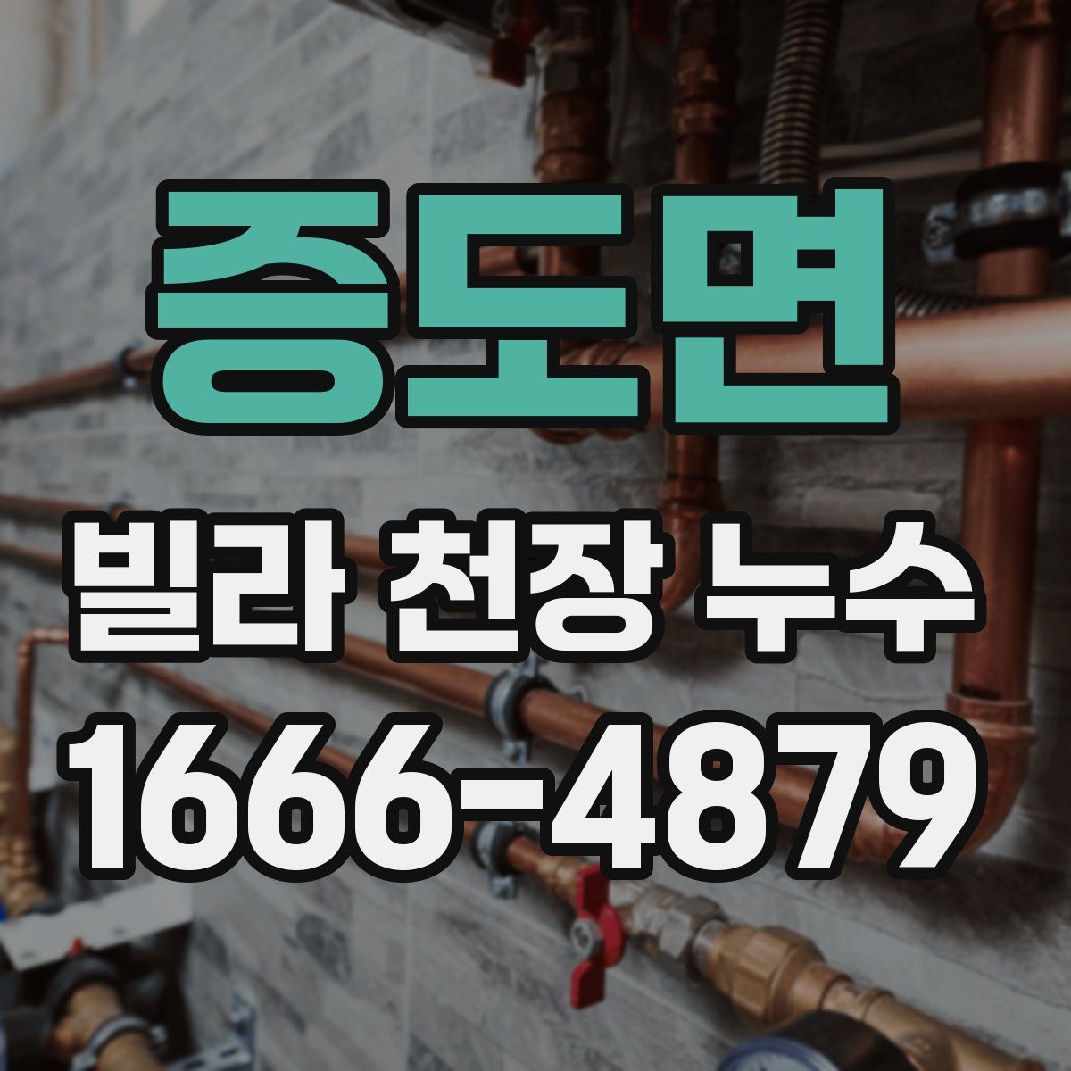증도면 빌라 천장 누수