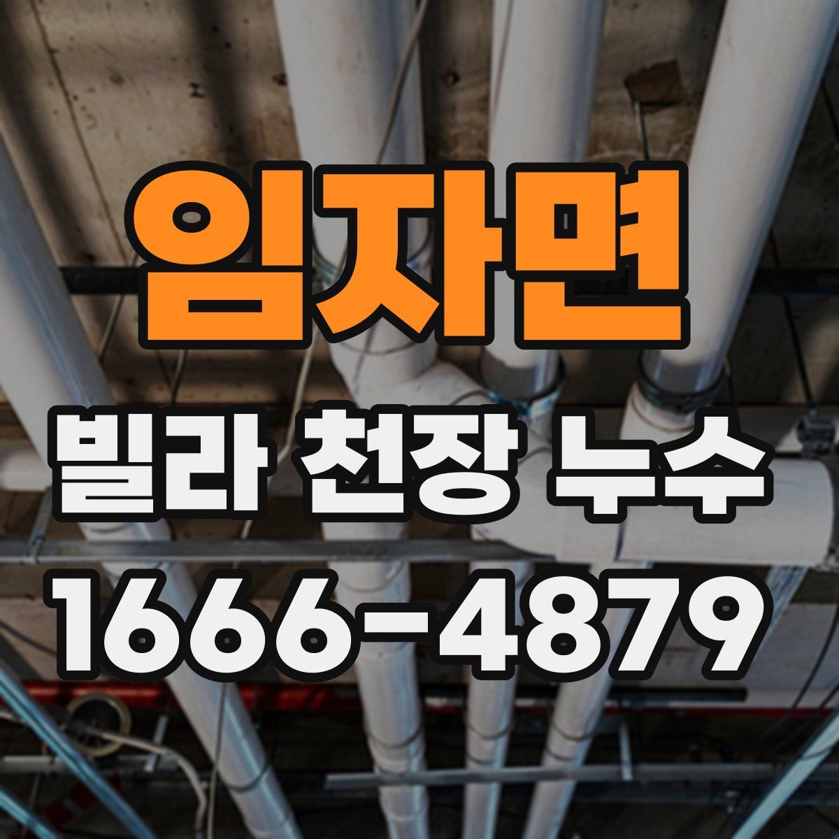 임자면 빌라 천장 누수