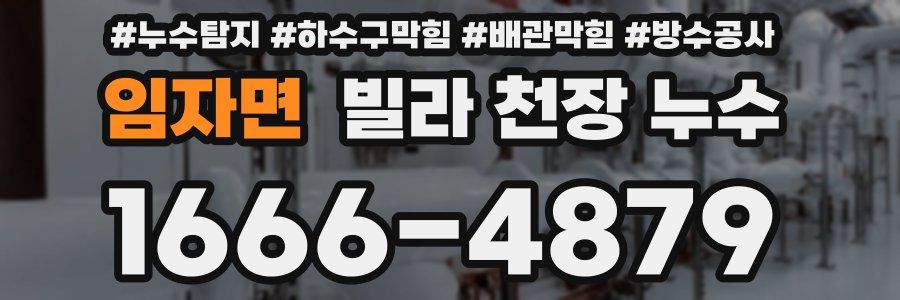 임자면 빌라 천장 누수