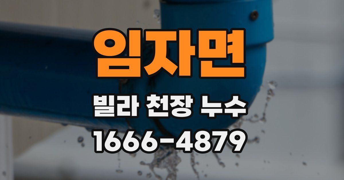 임자면 빌라 천장 누수