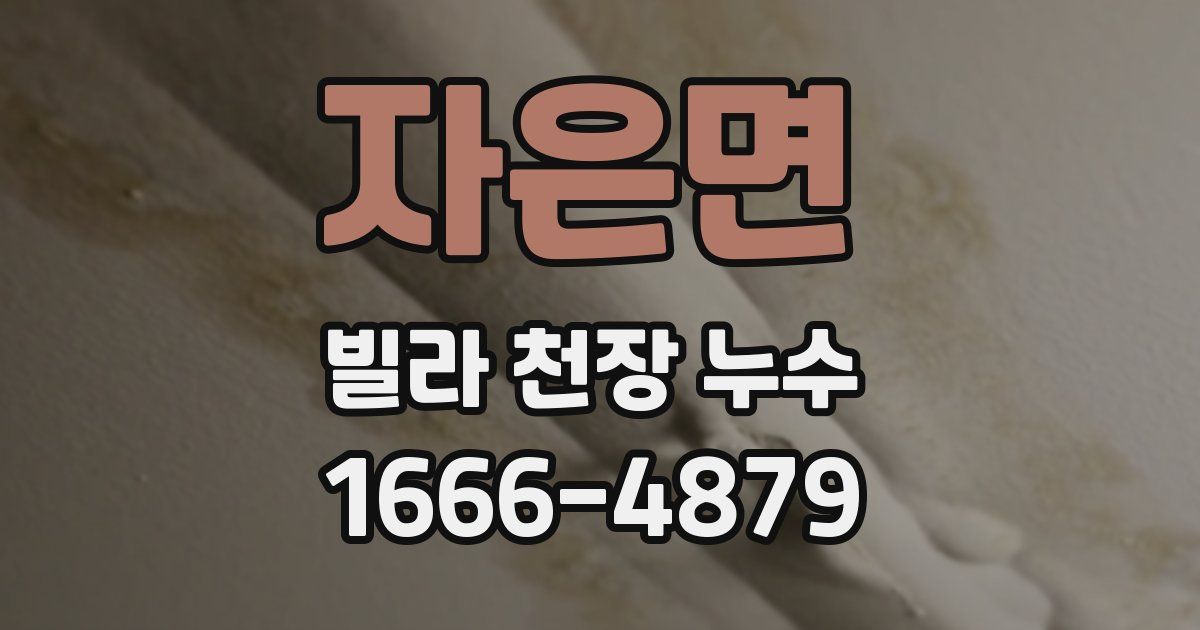 자은면 빌라 천장 누수