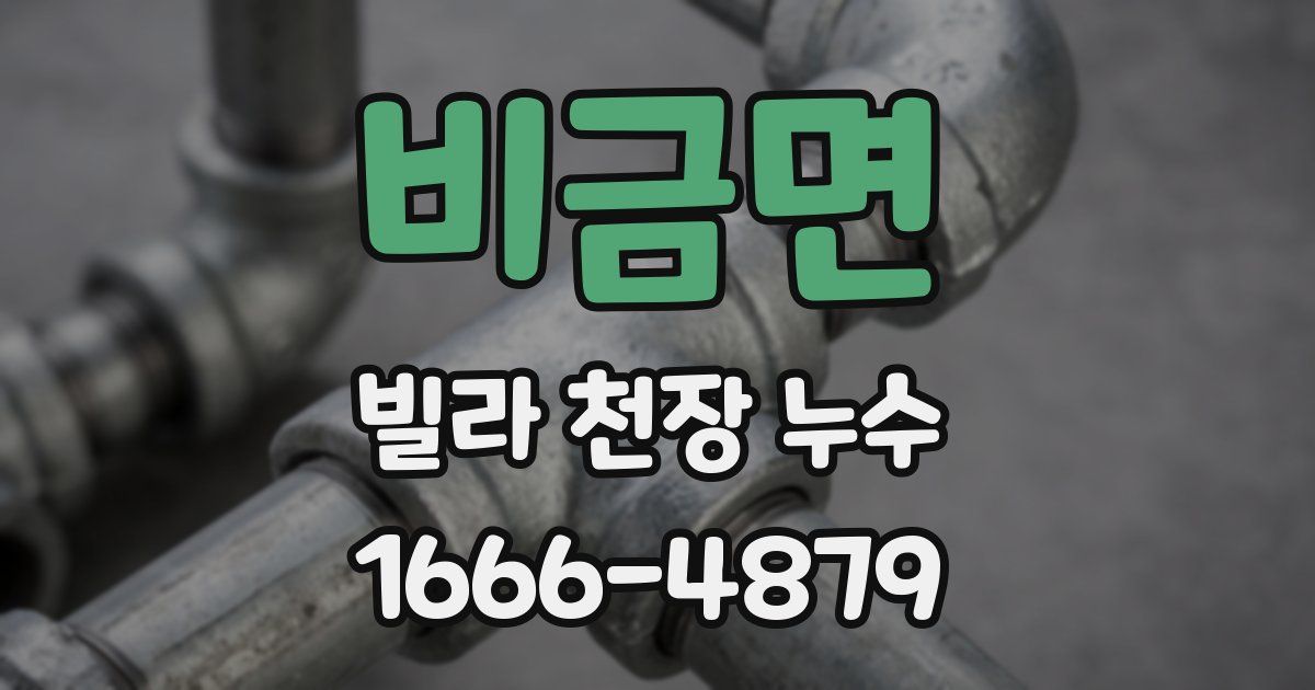 비금면 빌라 천장 누수