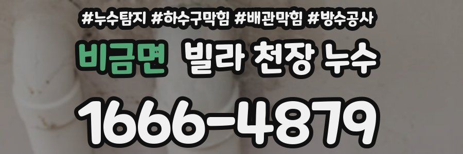 비금면 빌라 천장 누수