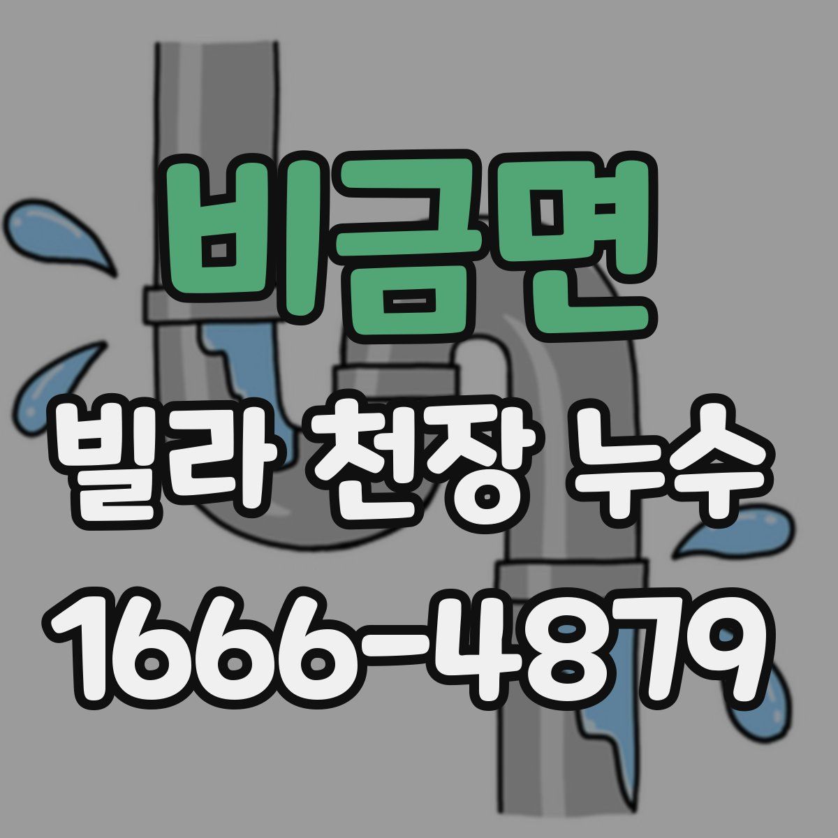 비금면 빌라 천장 누수