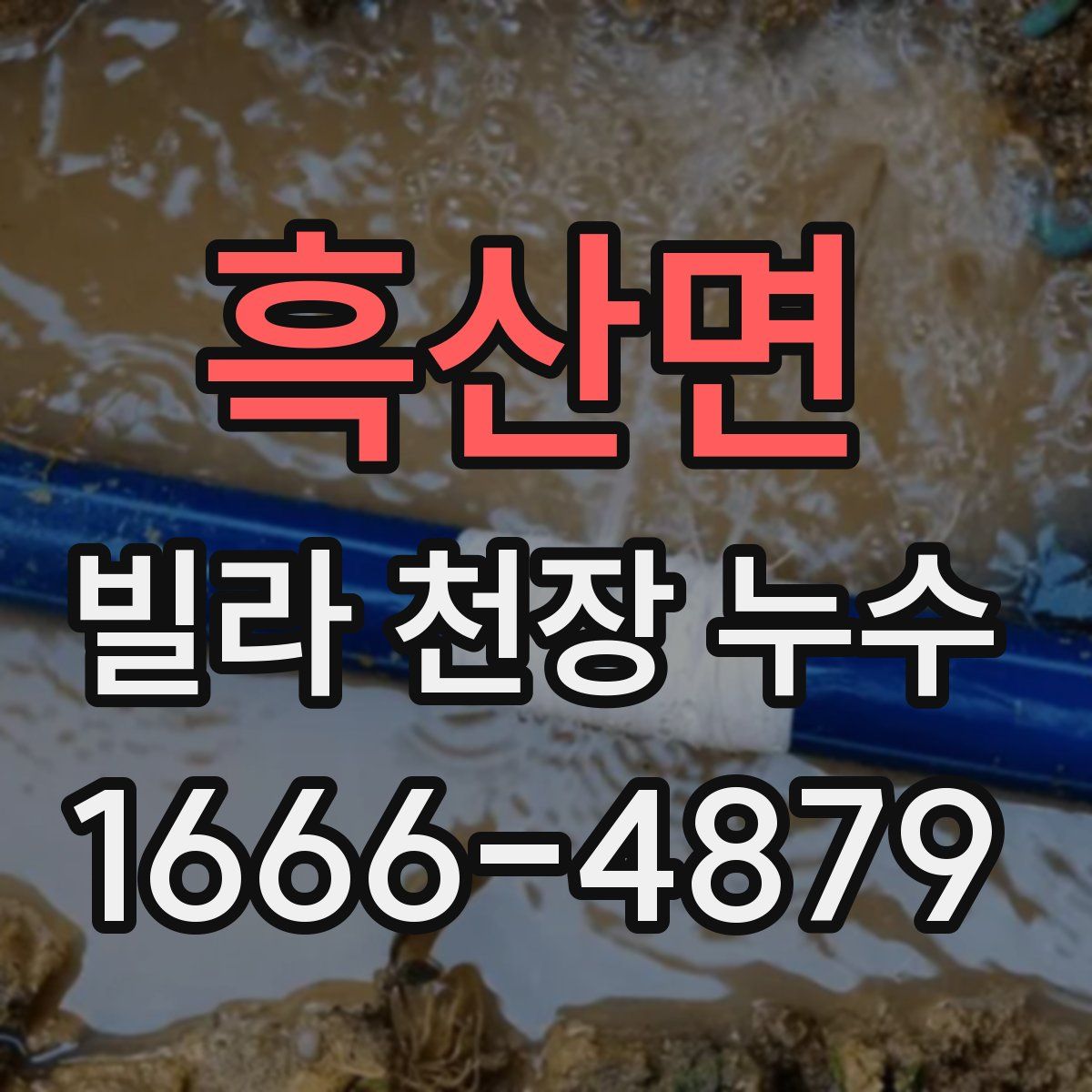 흑산면 빌라 천장 누수