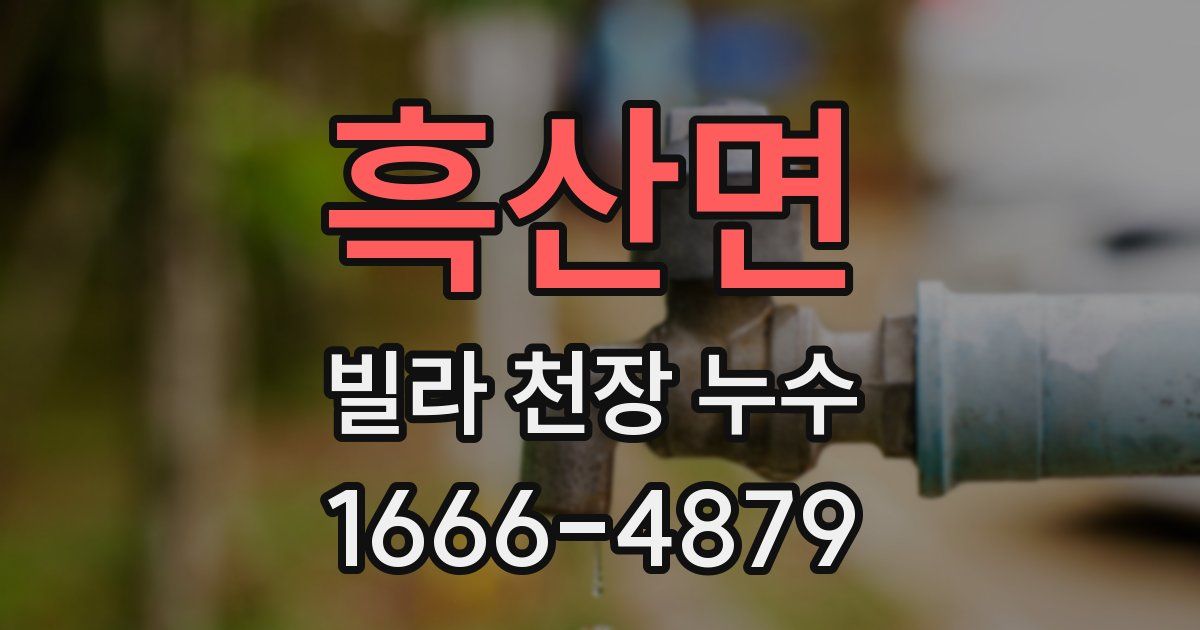 흑산면 빌라 천장 누수