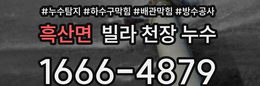 흑산면 빌라 천장 누수