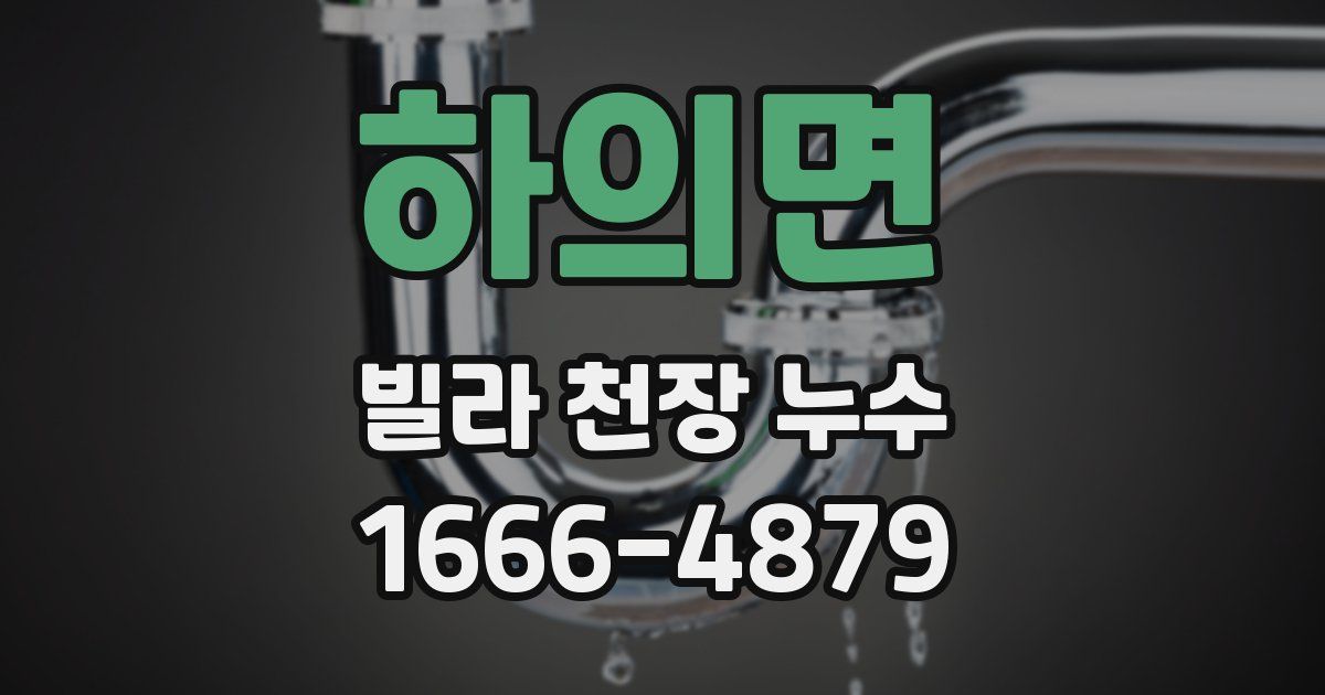 하의면 빌라 천장 누수