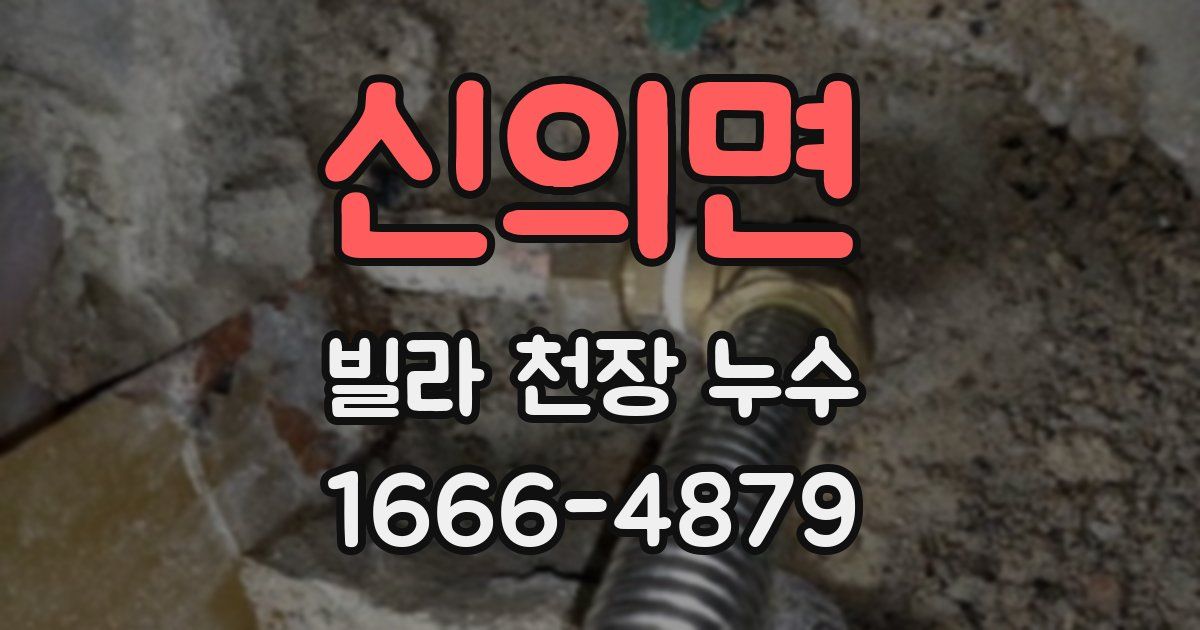 신의면 빌라 천장 누수