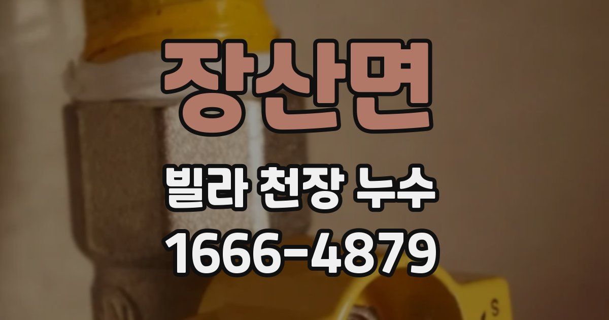 장산면 빌라 천장 누수