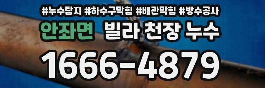 안좌면 빌라 천장 누수