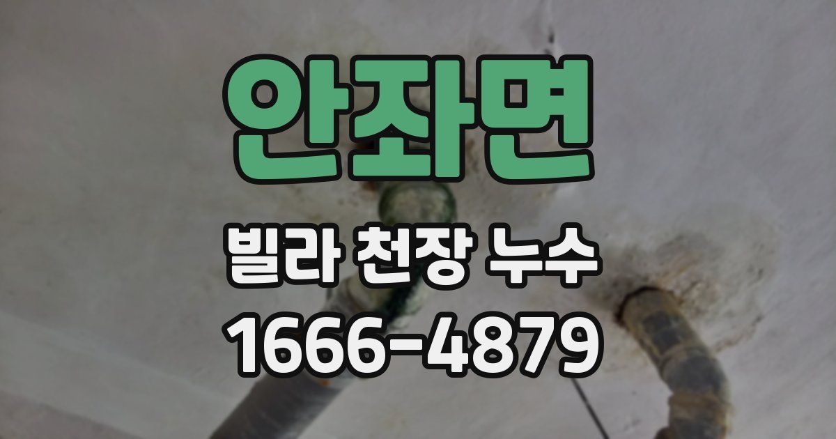 안좌면 빌라 천장 누수