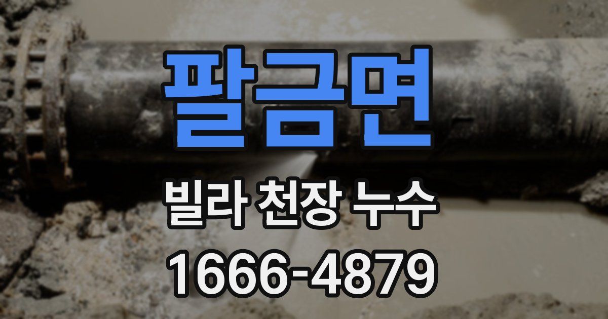 팔금면 빌라 천장 누수