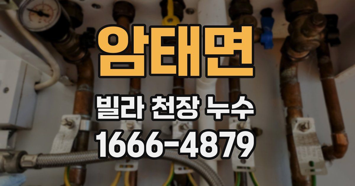 암태면 빌라 천장 누수