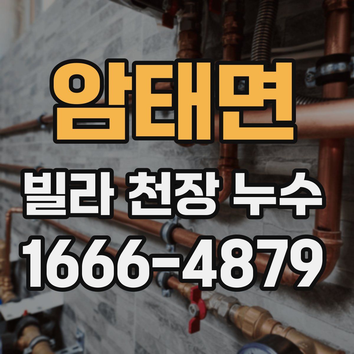 암태면 빌라 천장 누수