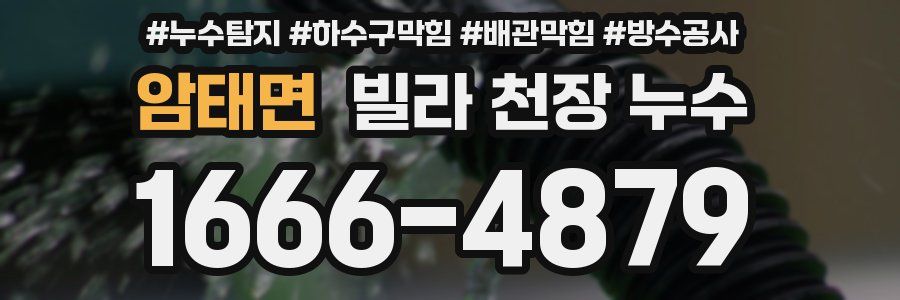 암태면 빌라 천장 누수