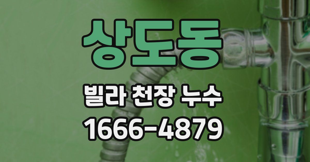 상도동 빌라 천장 누수