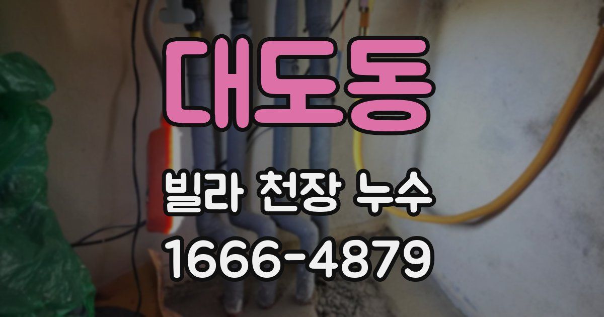 대도동 빌라 천장 누수