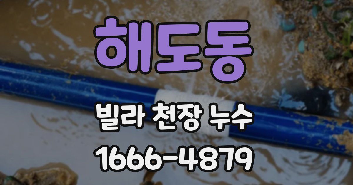 해도동 빌라 천장 누수