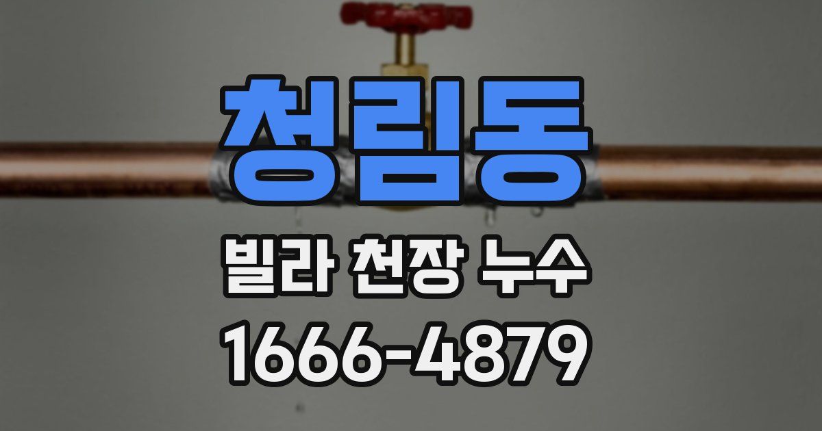 청림동 빌라 천장 누수