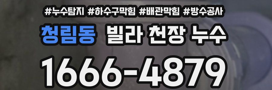 청림동 빌라 천장 누수