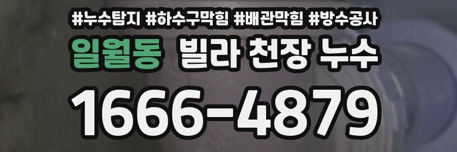 일월동 빌라 천장 누수