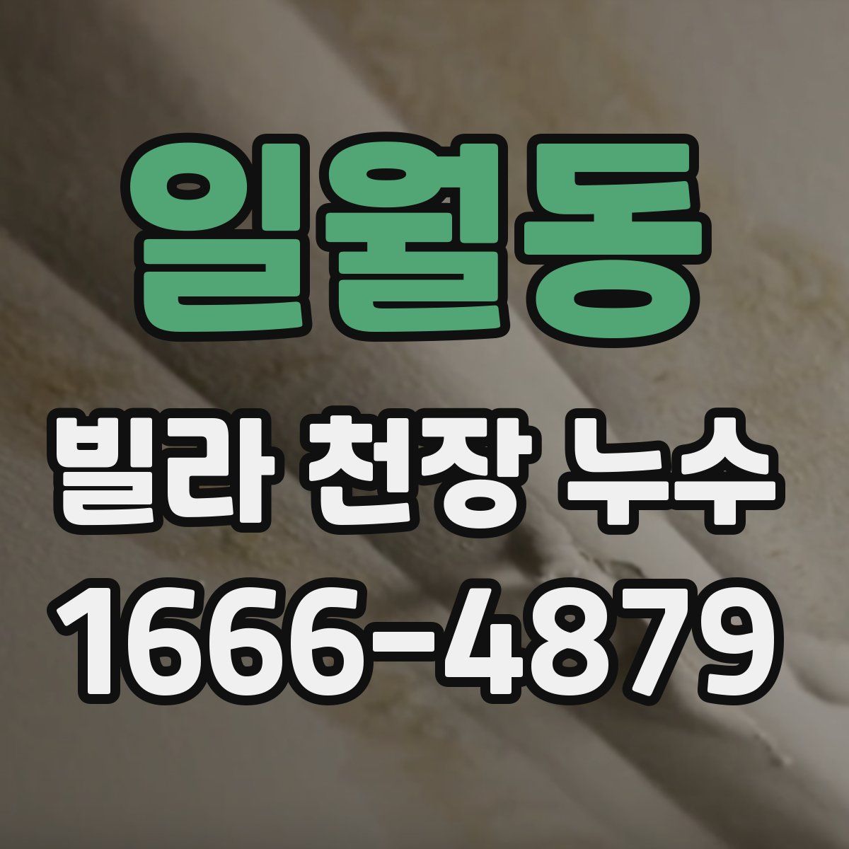 일월동 빌라 천장 누수