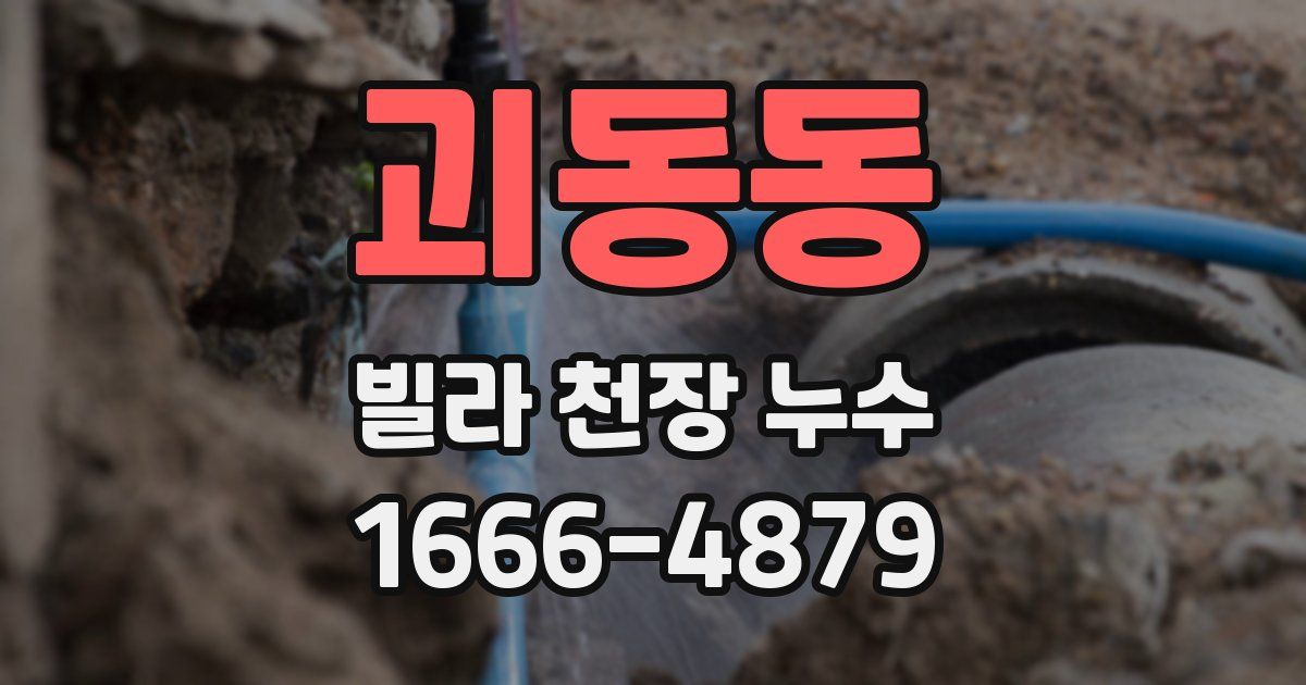 괴동동 빌라 천장 누수