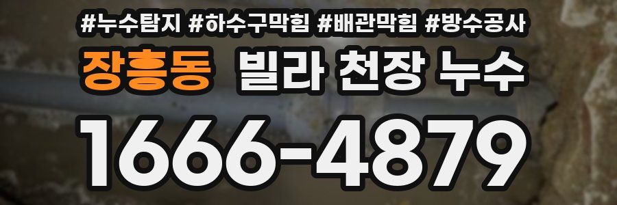 장흥동 빌라 천장 누수