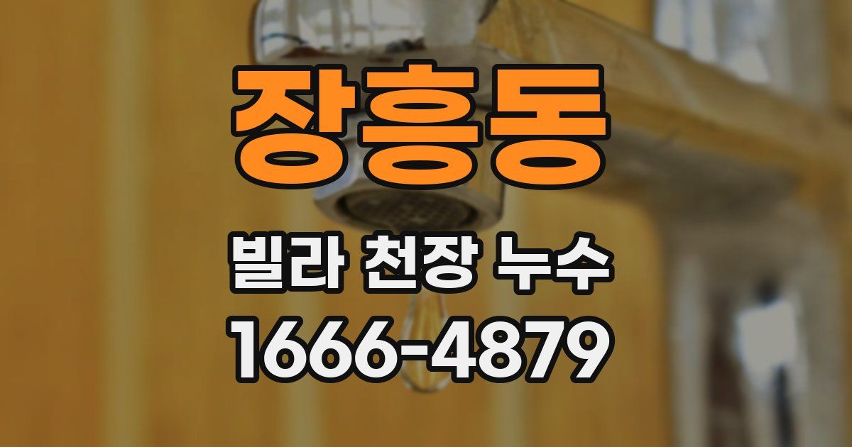 장흥동 빌라 천장 누수