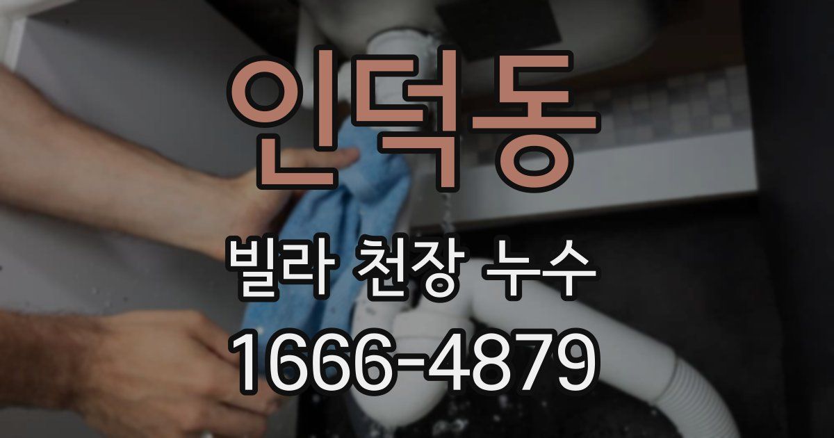 인덕동 빌라 천장 누수