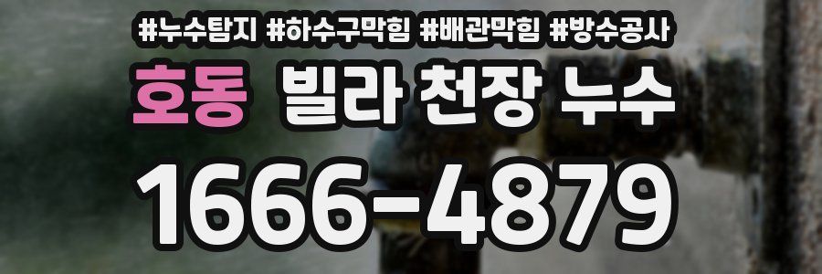 호동 빌라 천장 누수
