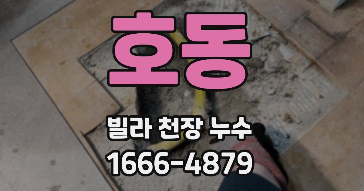 호동 빌라 천장 누수