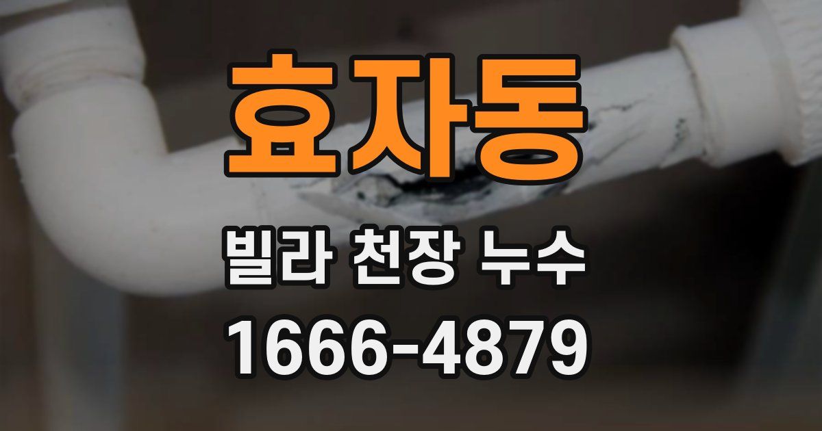 효자동 빌라 천장 누수