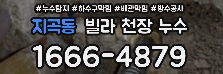 지곡동 빌라 천장 누수