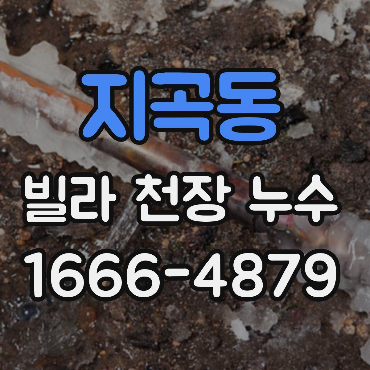 지곡동 빌라 천장 누수